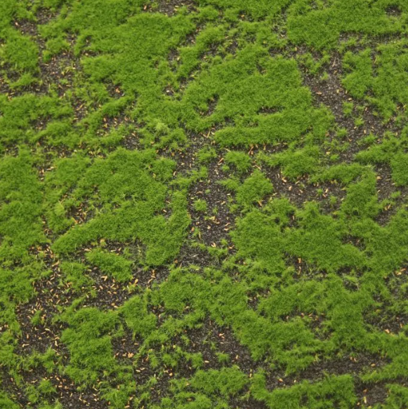 Moderne werkruimte met kunstmos wanden die zorgen voor een nette, duurzame en uitnodigende kantooromgeving.