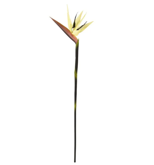 Strelitzia 90cm | Kunst tak