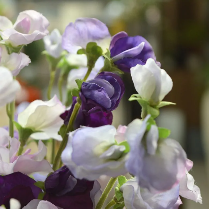 Lathyrus 40cm | Kunstboeket