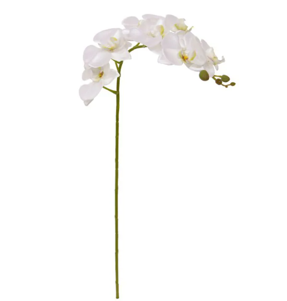 Phalaenopsis 95cm | Kunst tak