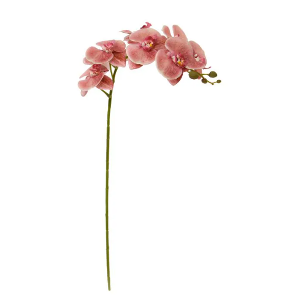 Phalaenopsis 95cm | Kunst tak
