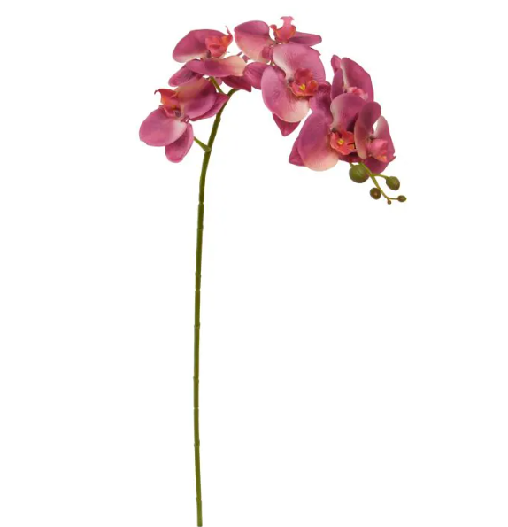 Phalaenopsis 95cm | Kunst tak