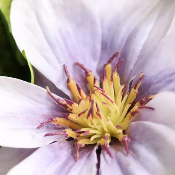 Clematis 30cm | Kunstboeket