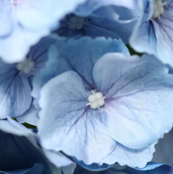 Hortensia 50cm | Kunst tak