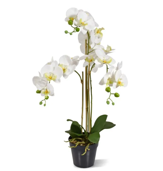 Moderne werkruimte met kunstplanten die zorgen voor een nette, duurzame en uitnodigende kantooromgeving.