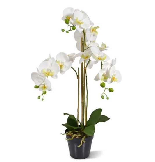 Moderne werkruimte met kunstplanten die zorgen voor een nette, duurzame en uitnodigende kantooromgeving.