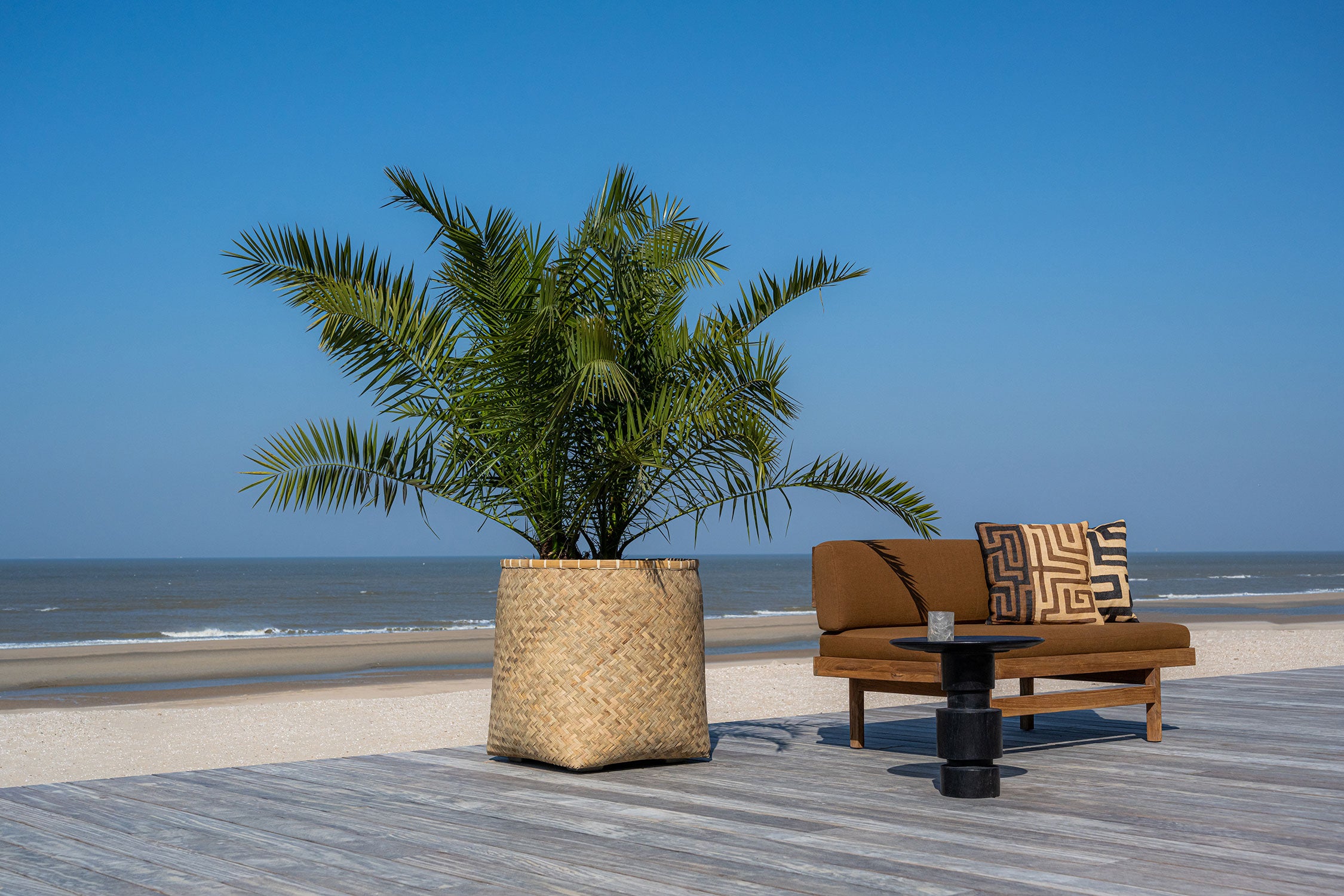 planten op terras aan strand
