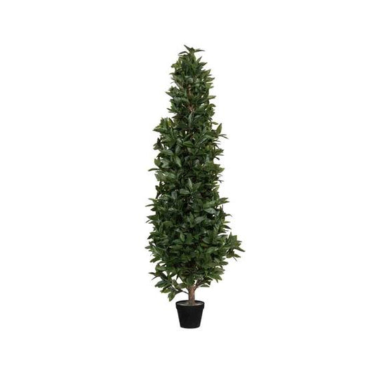 Laurus | Kunstplant