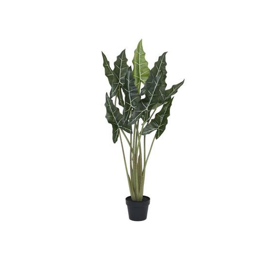 Alocasia Taro | Kunstplant