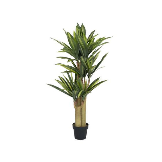 Dracaena | Kunstplant