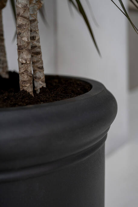 Max Classic - set van 5