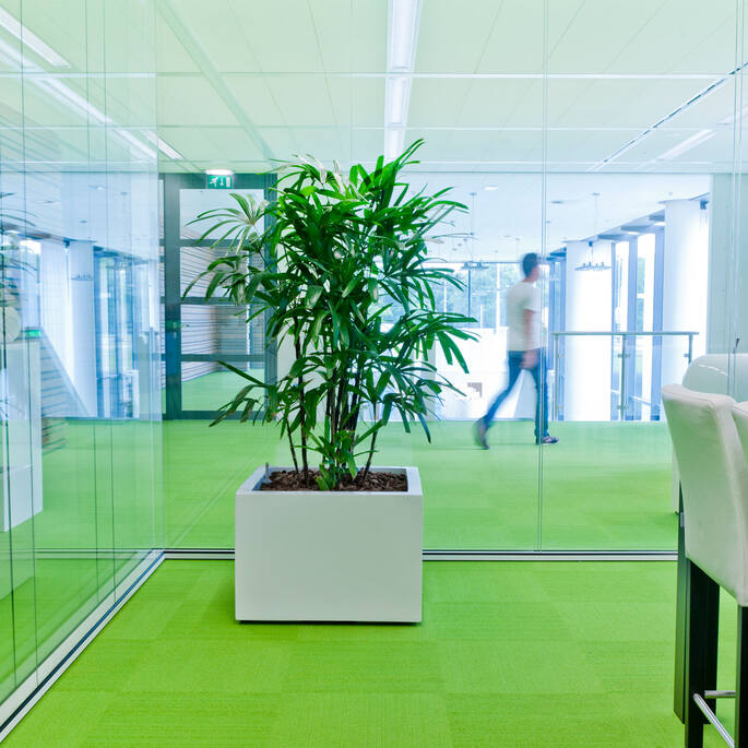 Professionele medewerker van Business Plants die kantoorplanten verzorgt en water geeft voor optimaal onderhoud.
