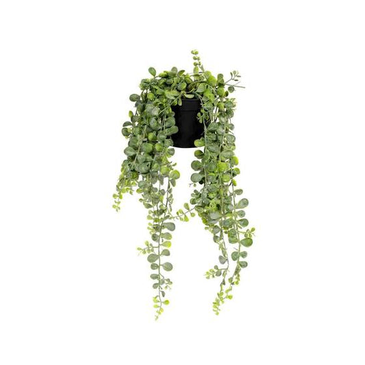 Senecio - Set van 4 | Kunstplant