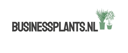 Business Plants 