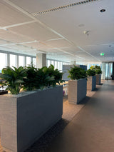 Coeo (Rotterdam)