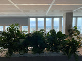 Coeo (Rotterdam)