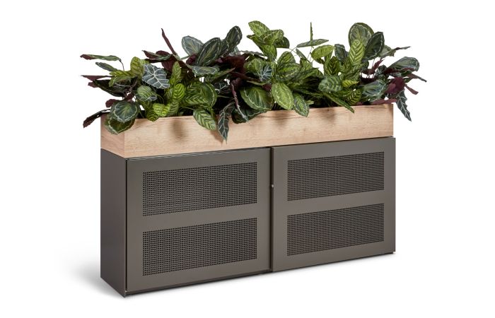 Grote groene kantoorplanten en roomdividers van planten in een open kantoortuin, gerealiseerd door Business Plants.