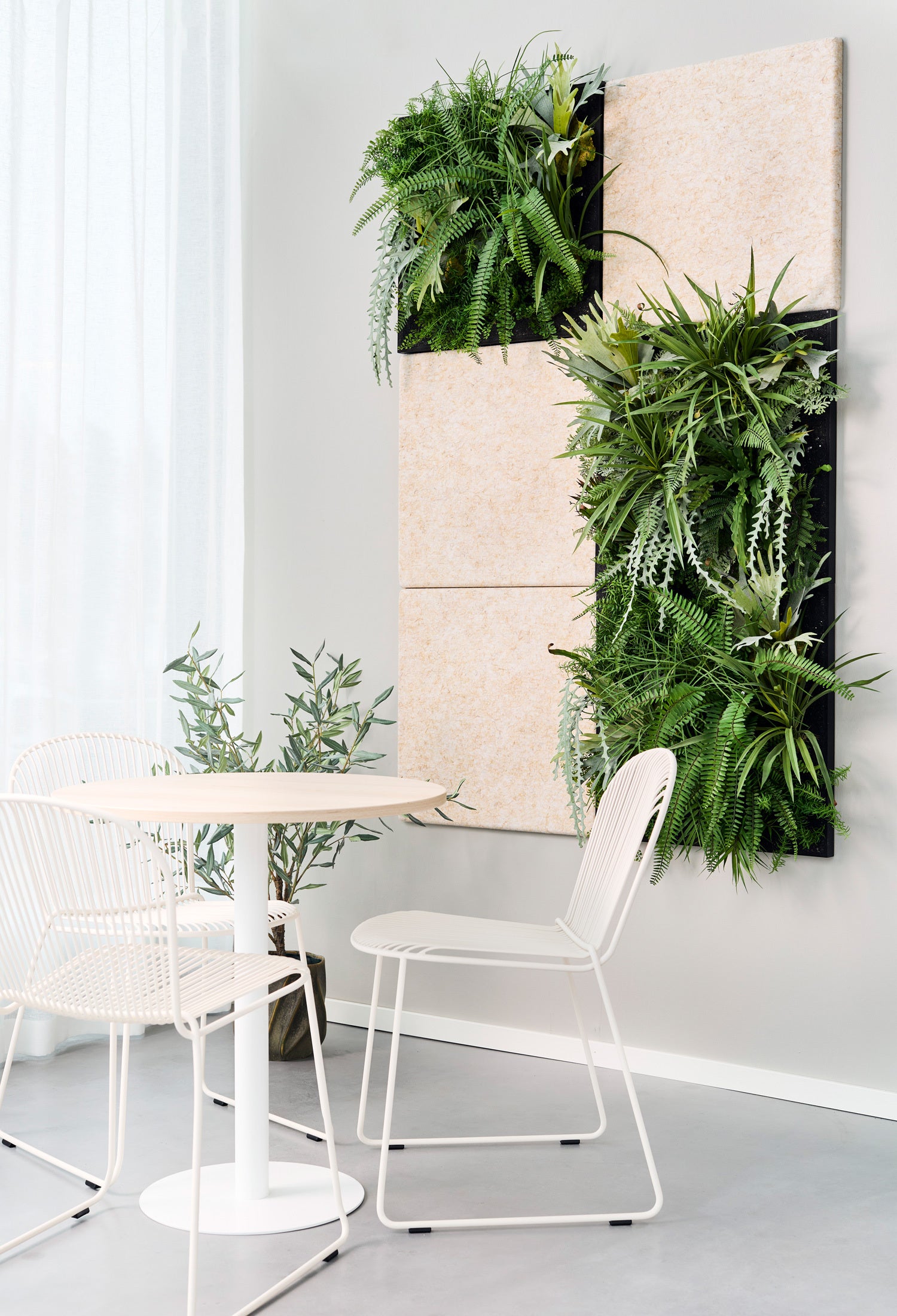 Grote bladplanten in een modern kantoor die dienen als natuurlijke akoestische oplossing voor het absorberen van omgevingsgeluid en galm
